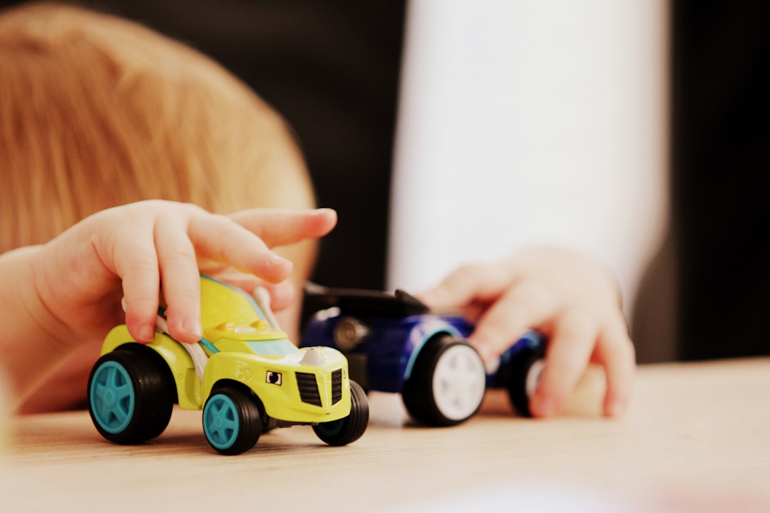 Toy
