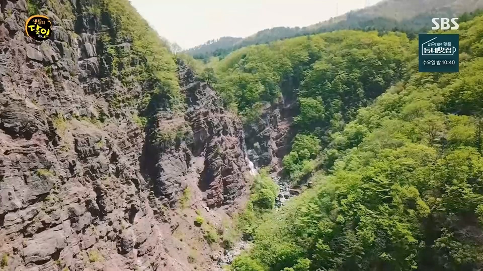 생활의 달인.E892.230612p.H264-F1RST.mp4_20230613_201809.322.jpg