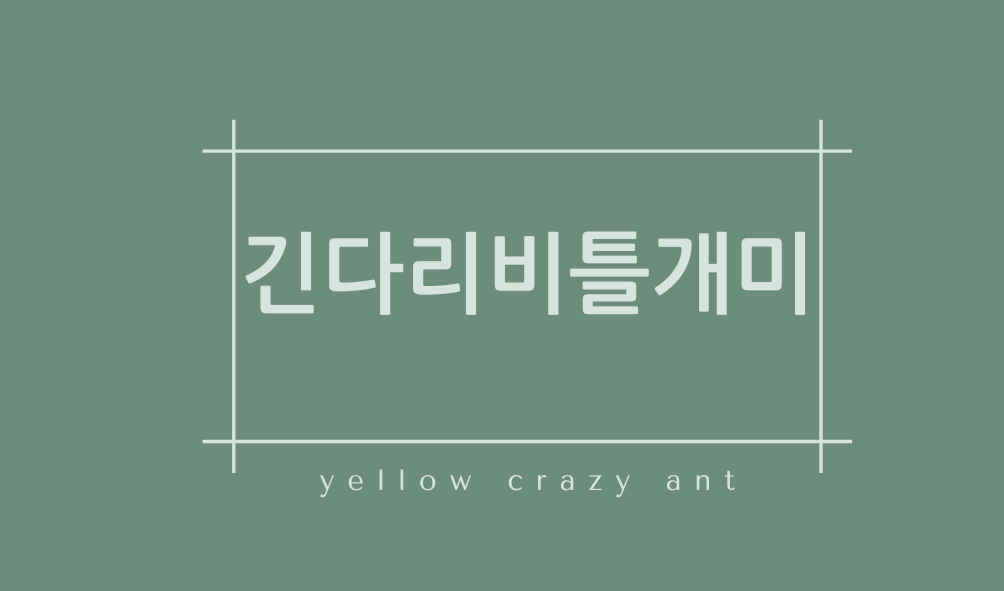 긴다리비틀개미(yellow crazy ant)