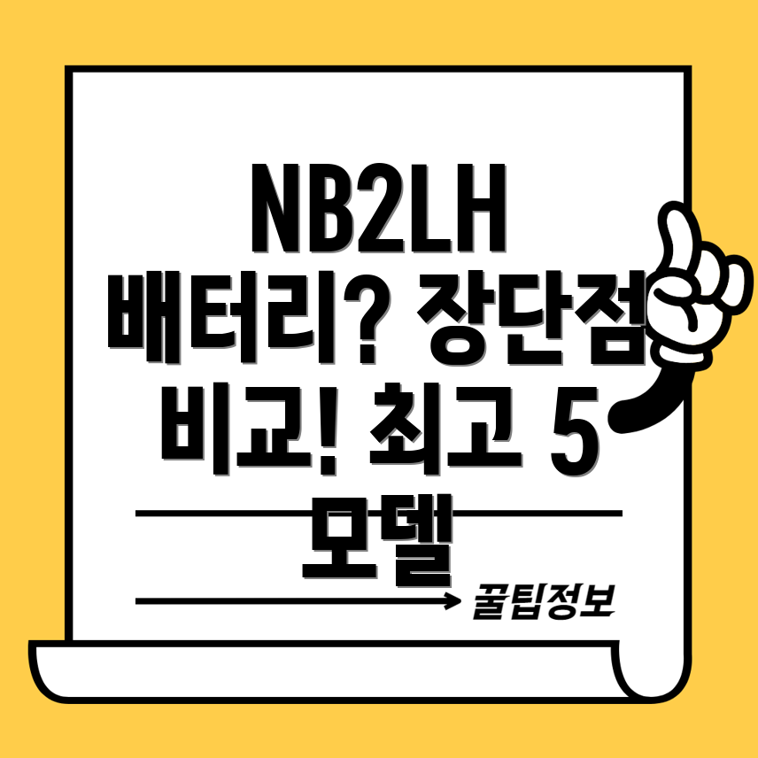 NB2LH배터리선택가이드장단점비교분석및최고5가지모델