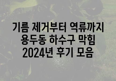 기름 제거부터 역류까지 용두동 하수구 막힘 2024년 후기 모음