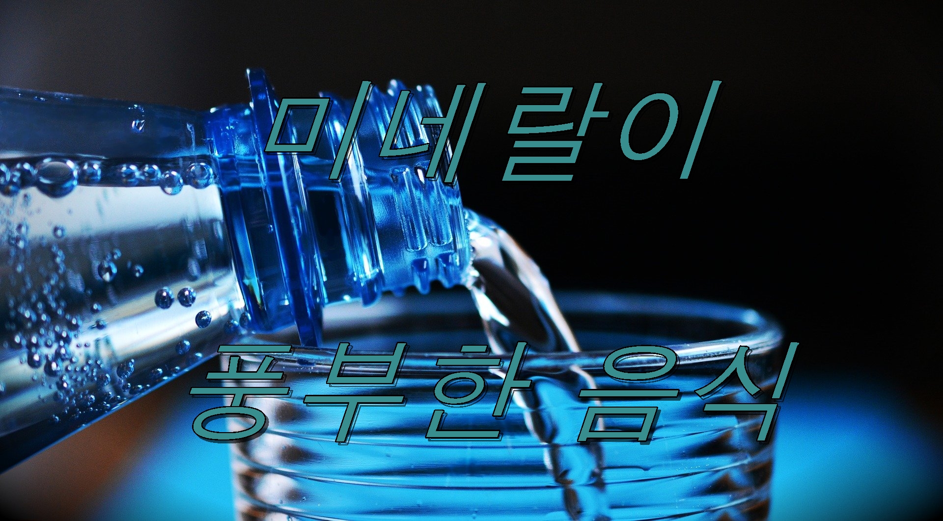  미네랄에 풍부한 음식