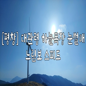  [평창] 대관령 하늘목장 눈썰매 느림보 스피드