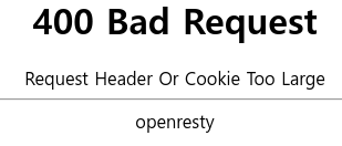 400 Bad Request(Request Header Or Cookie Too Large) 해결!!