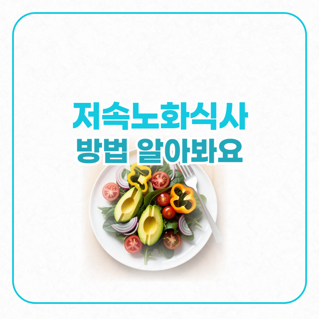 저속노화법 식단