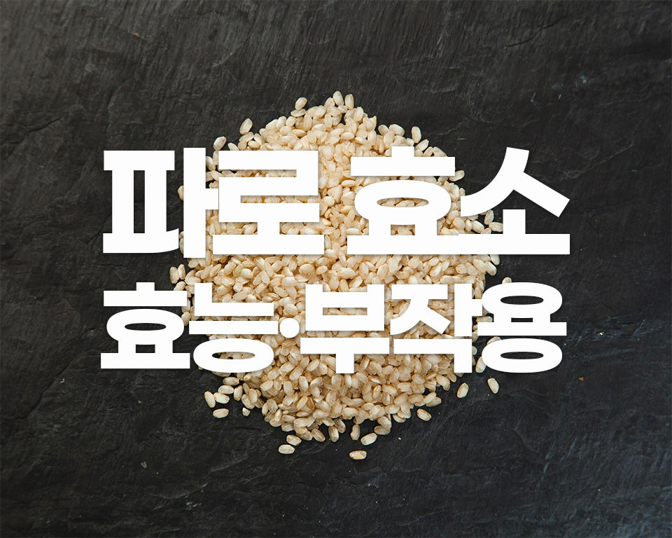 파로 효소 효능과 부작용, 가성비 추천
