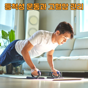 등척성 운동 플랭크