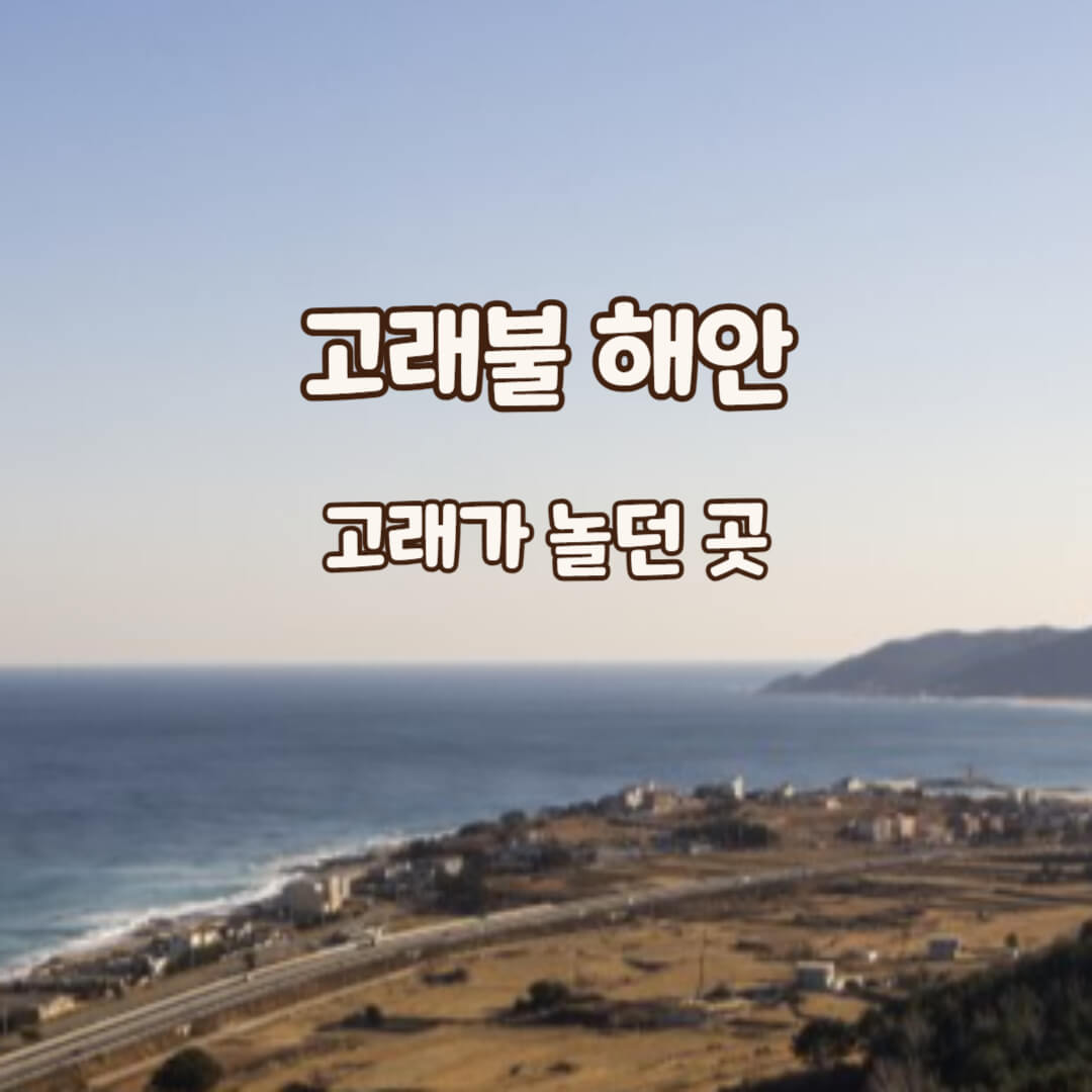 고래불