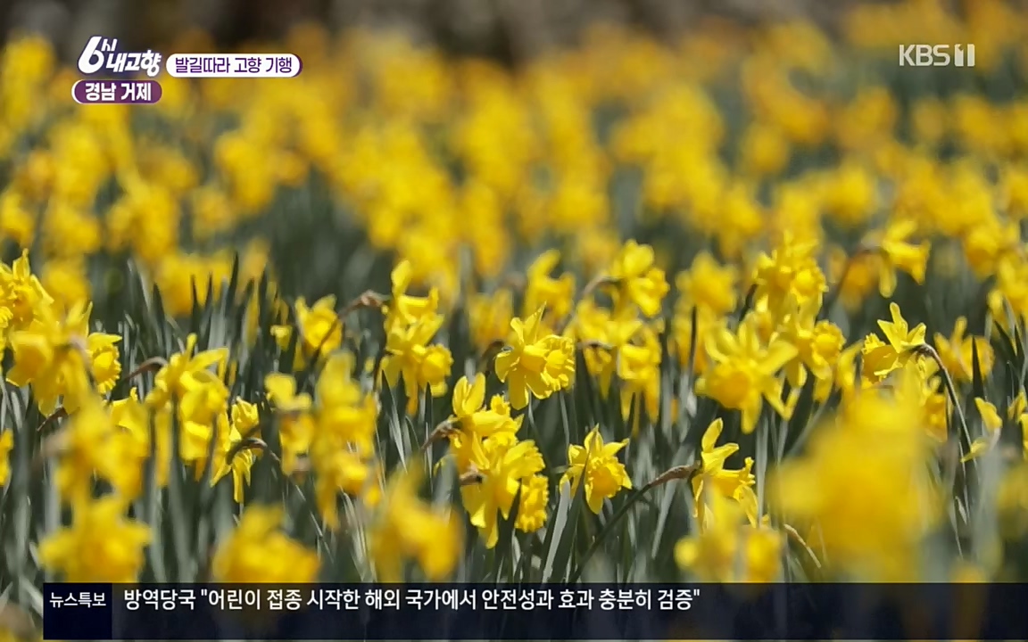 6시 내고향.E7505.220407p.H264-F1RST.mp4_20220411_180249.368.jpg