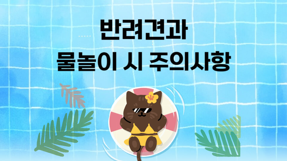  멍멍아 물놀이 가자 여름철 반려견과 물놀이 시 주의사항 마른 익사