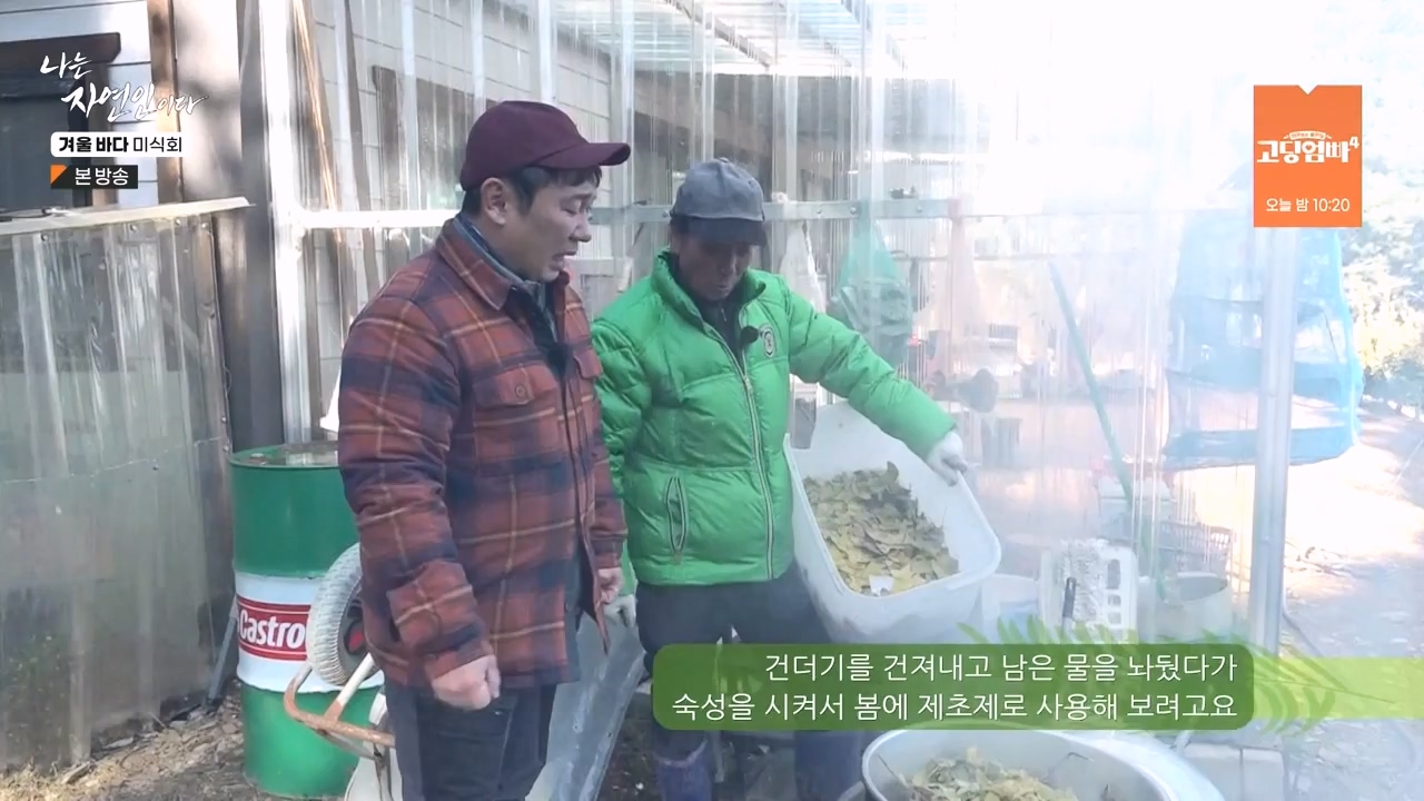 나는 자연인이다.E584.231214p-NEXT.mp4_20231214_194918.719.jpg