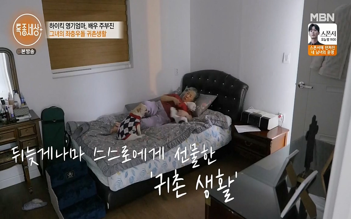 현장르포 특종세상.E524.220332p-NEXT.mp4_20220402_185258.587.jpg