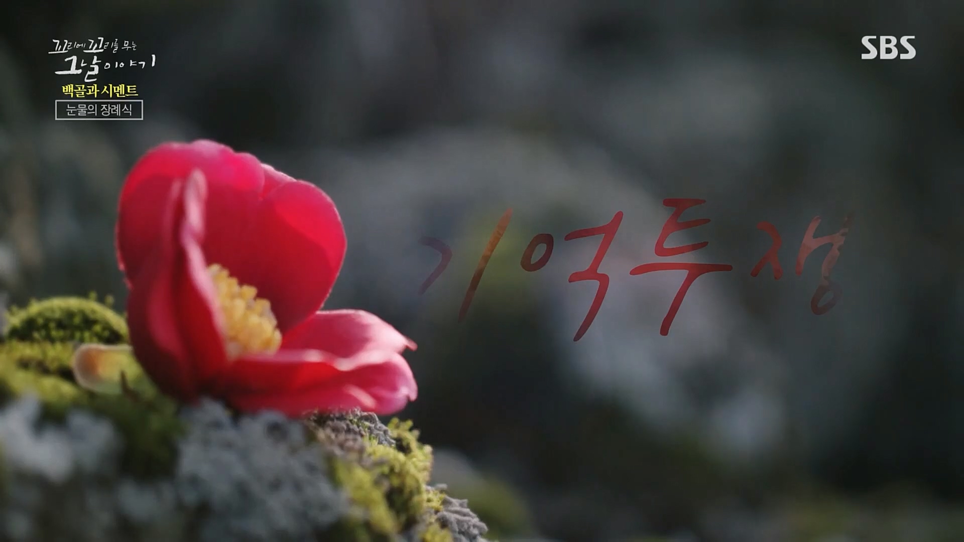 꼬리에꼬리를무는그날이야기.E73.230406p.H264-F1RST.mp4_20230409_135733.289.jpg