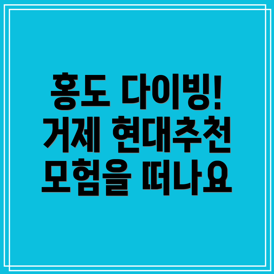 통영 홍도 스쿠버다이빙