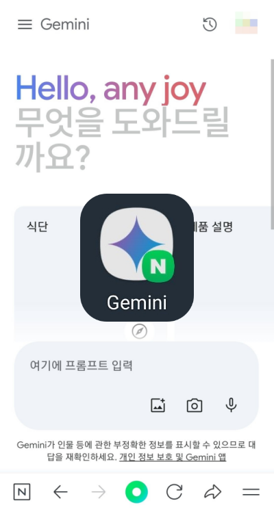 Gemini 제미나이