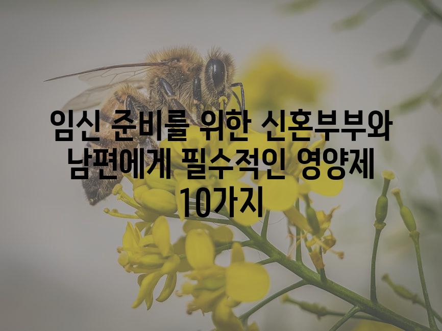 API 할당량 초과 오류 4