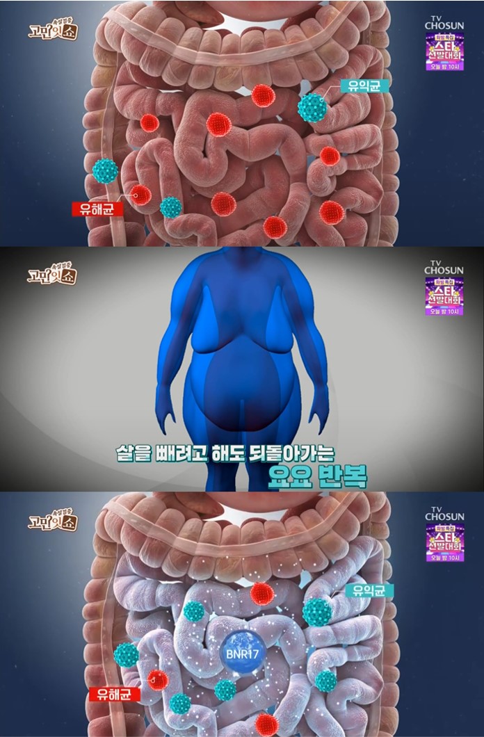 장건강에좋은BNR17유산균효능정보안내