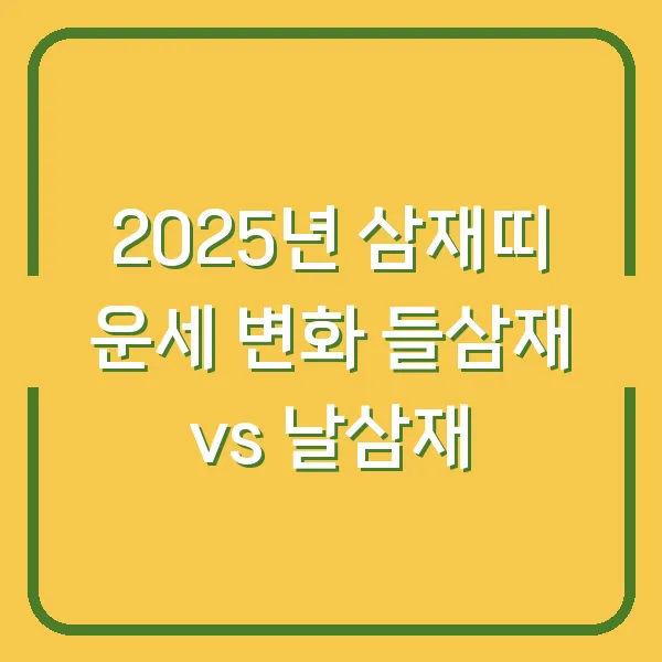 2025년 삼재띠 운세 변화 들삼재 vs 날삼재