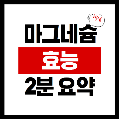 마그네슘 효능