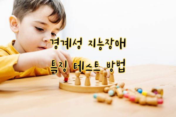 경계성 지능장애 특징 테스트 방법