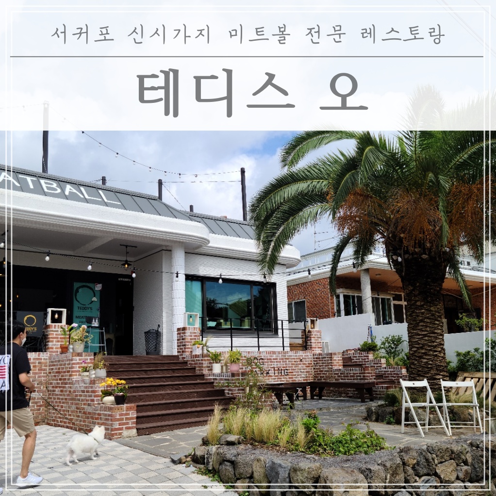  [제주애견동반] 서귀포 혁신도시 "테디스 오"