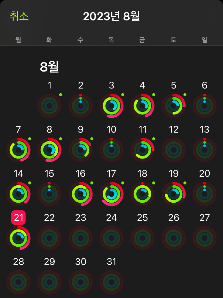 피트니스 링