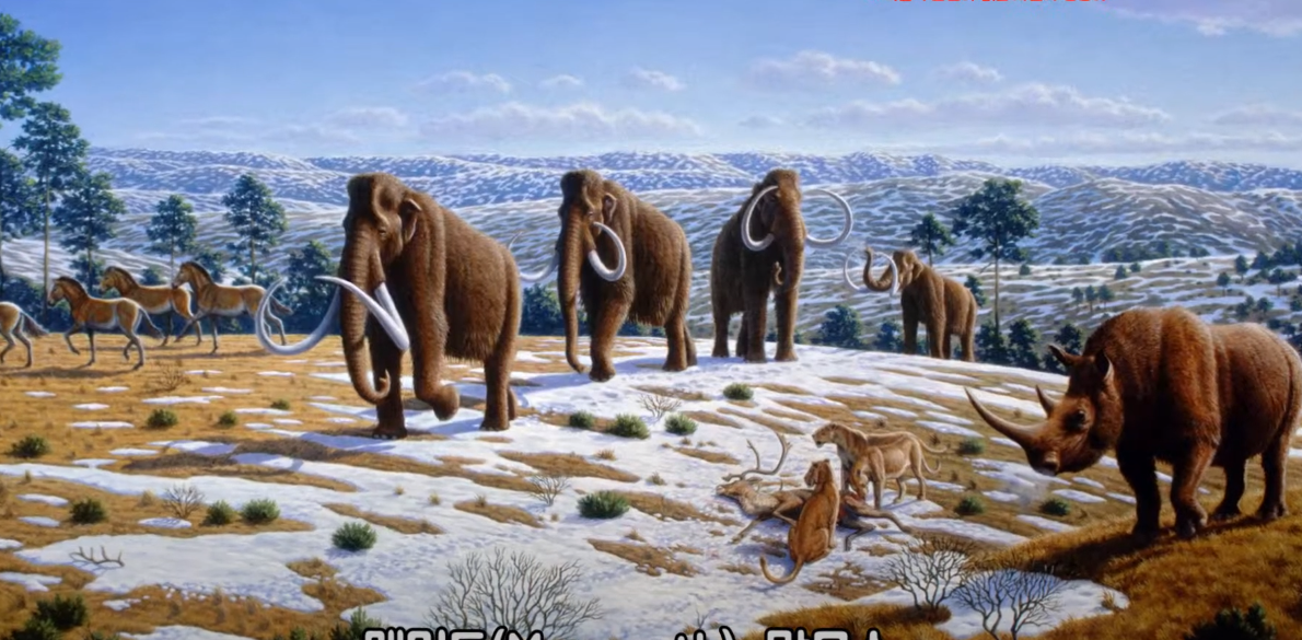  매머드(맘모스)는 어떤 동물 일까요?! Mammoth
