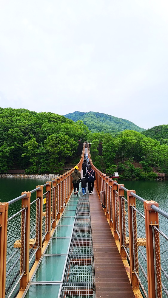 마장호수-출렁다리