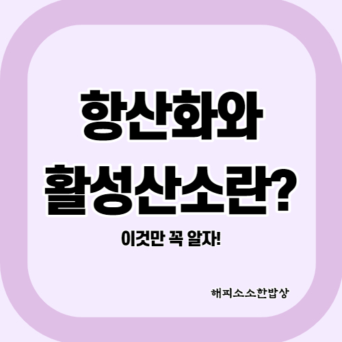  항산화와 활성산소란, 꼭 알고 넘어가자!