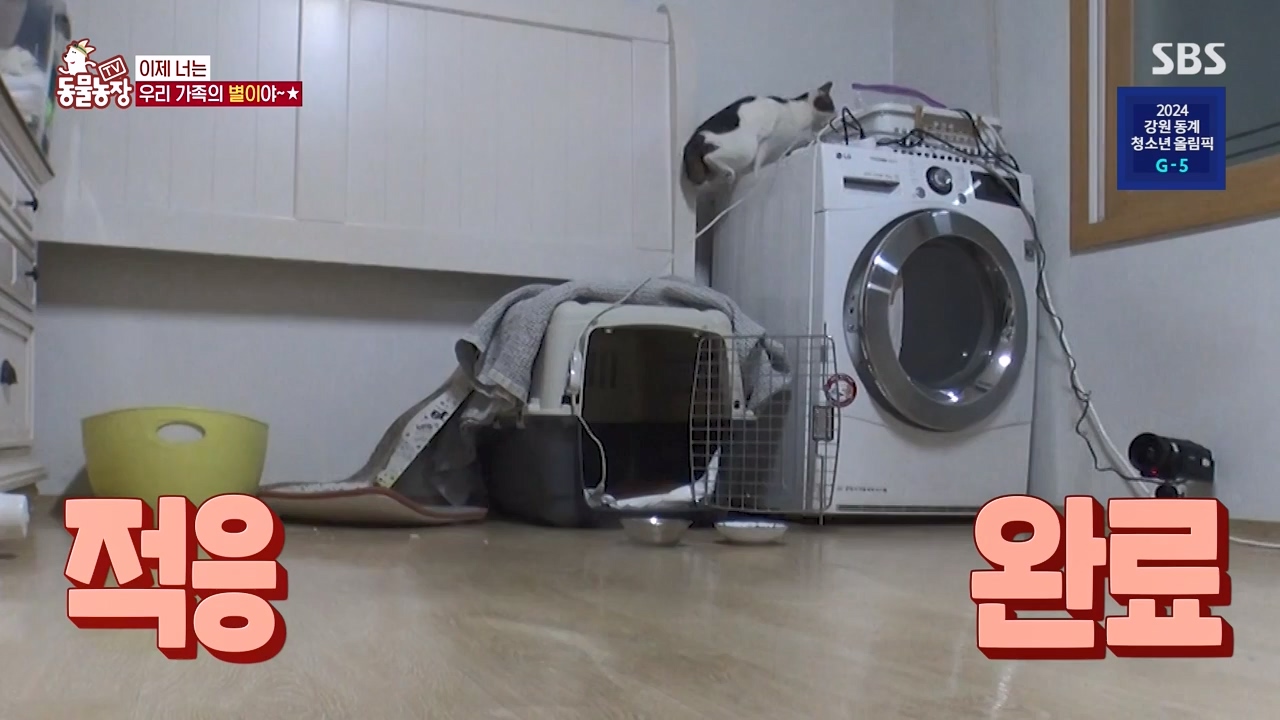 TV 동물농장.E1154.240115p-NEXT.mp4_20240114_184355.034.jpg