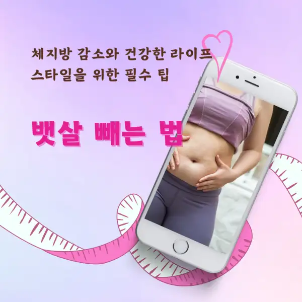 뱃살 빼는 법 완벽 가이드
