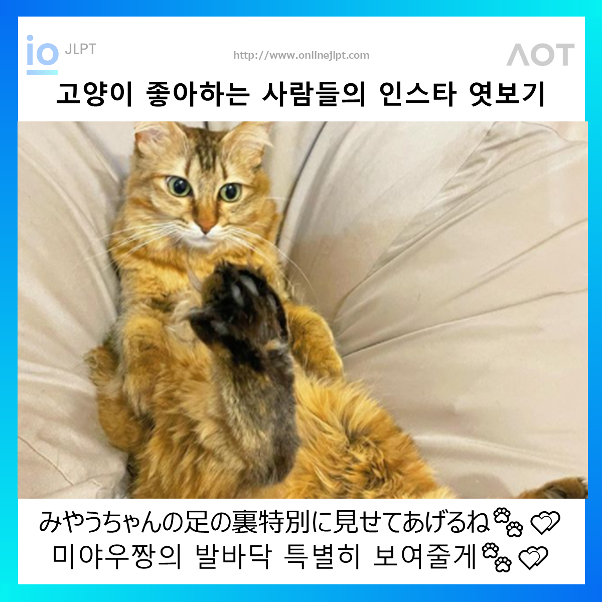  ［인스타 엿보기］みやうちゃんの足の裏特別に見せてあげるね