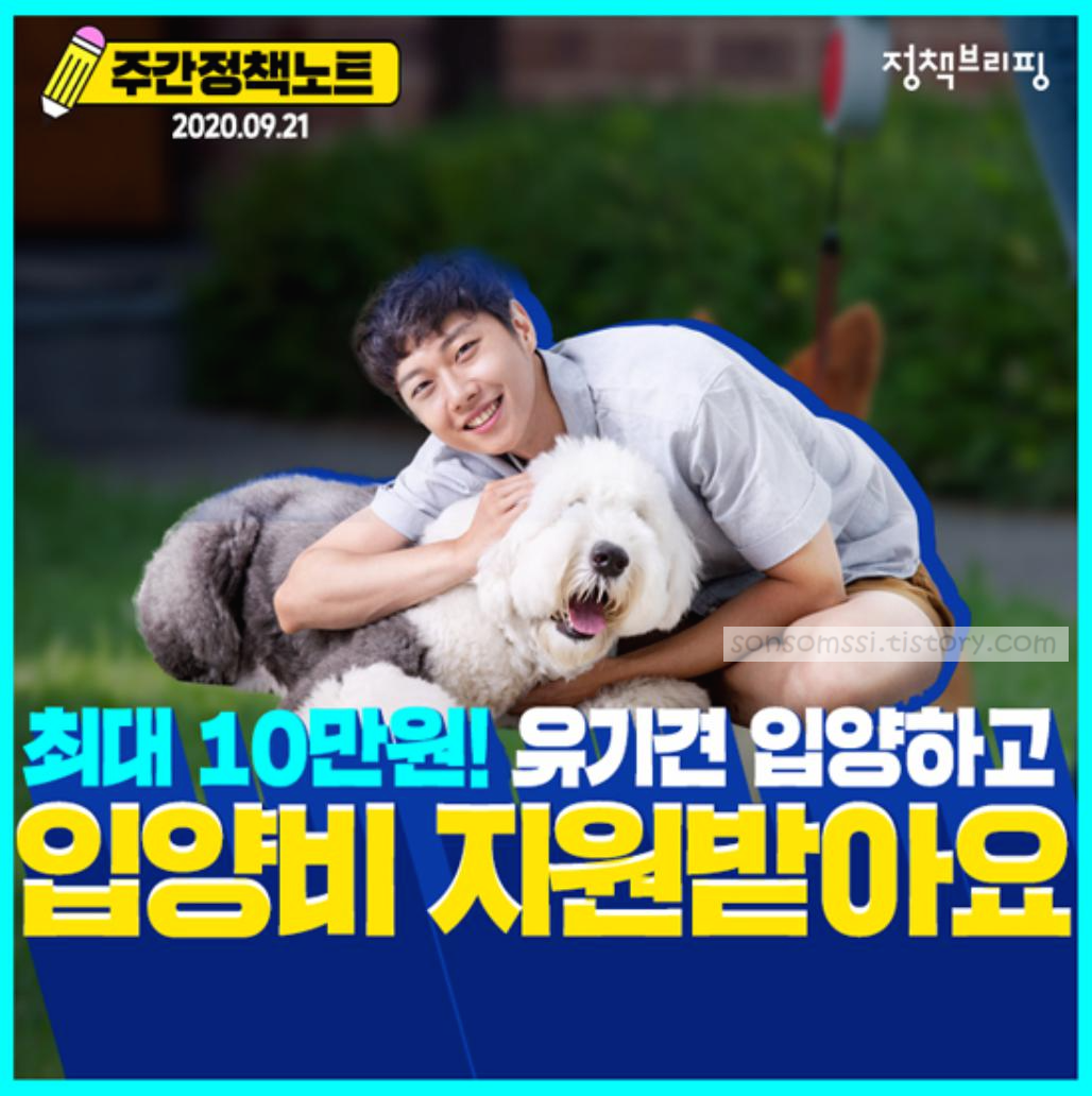  유기동물 입양시 최대 10만원지원!!