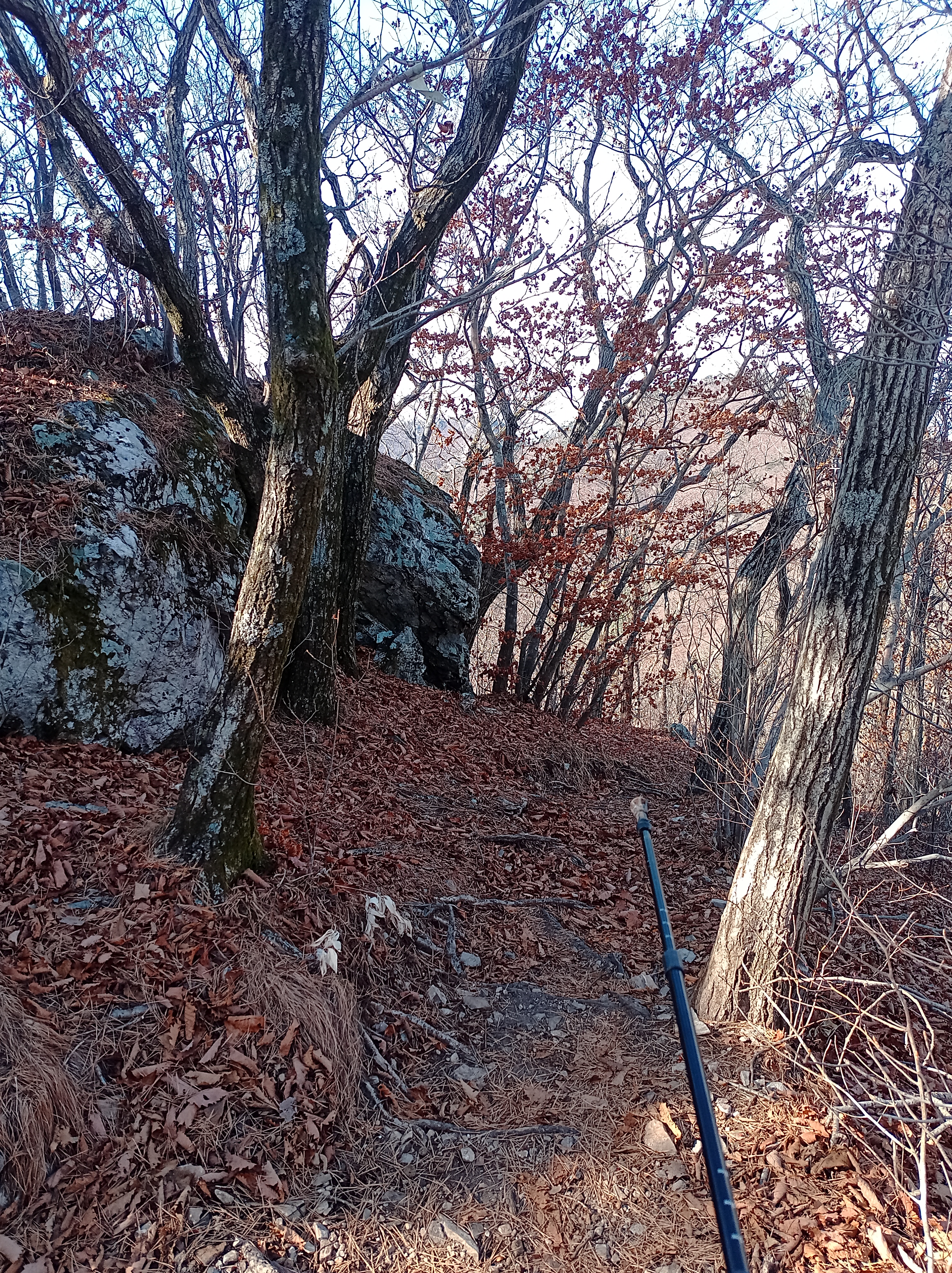 IMG_20221203_131720_666.jpg