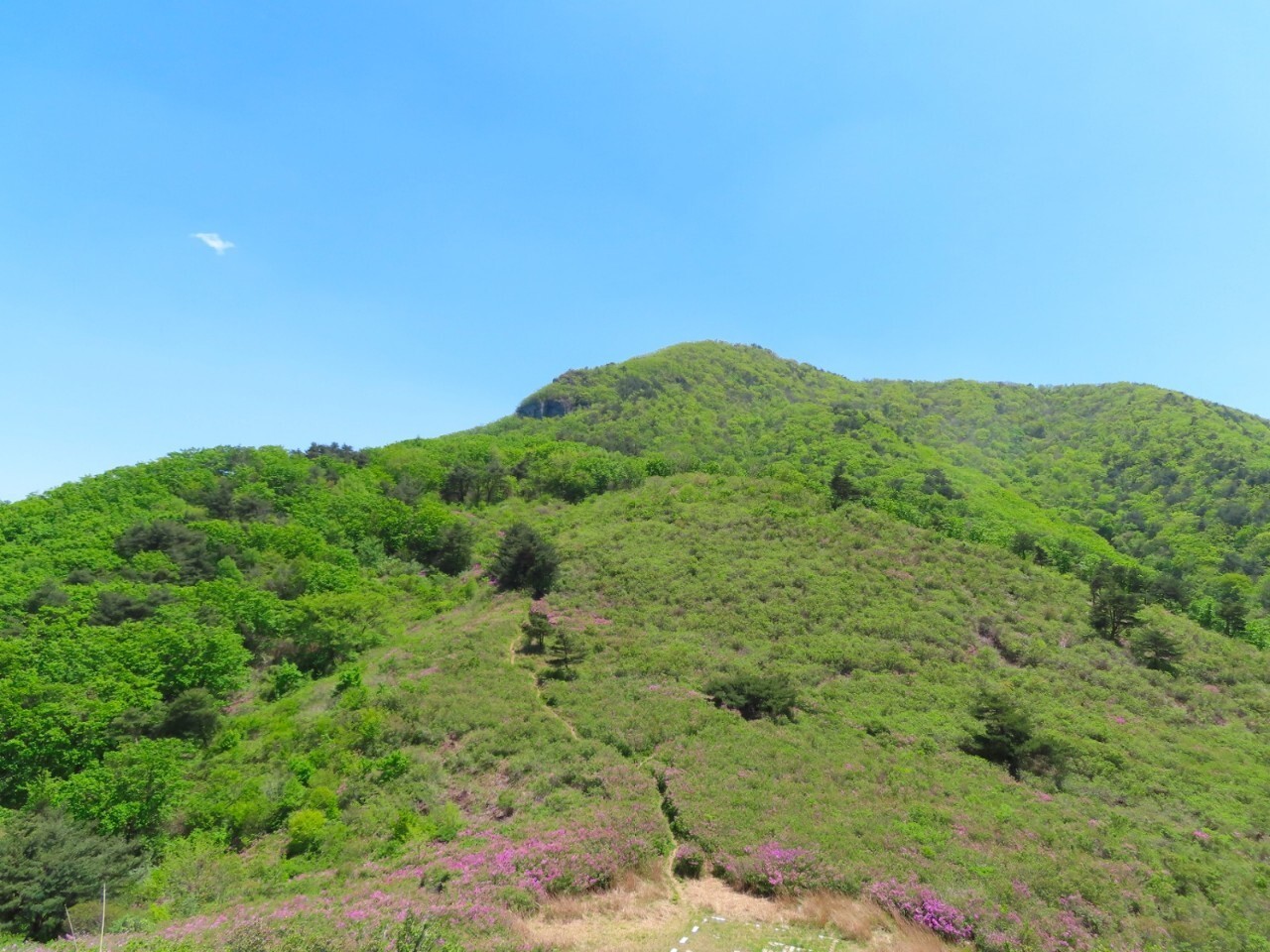 블랙야크 100+, Y출렁다리, 34