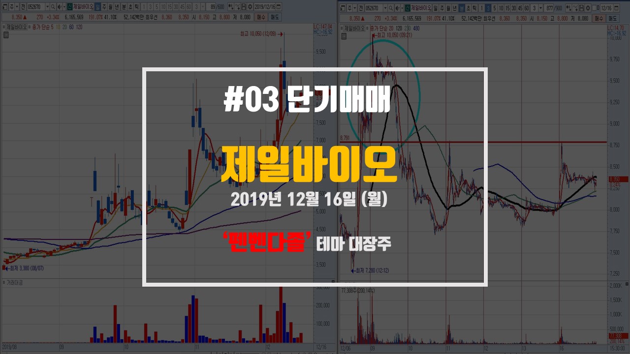  제일바이오 - 펜벤다졸 테마 대장주 단기매매 매매일지