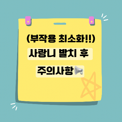 사랑니 발치 후 주의사항