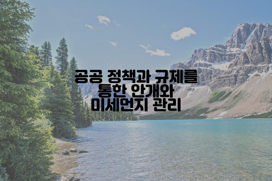 공공 정책과 규제를 통한 안개와 미세먼지 관리