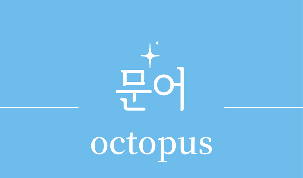 &#39;문어(octopus)&#39;