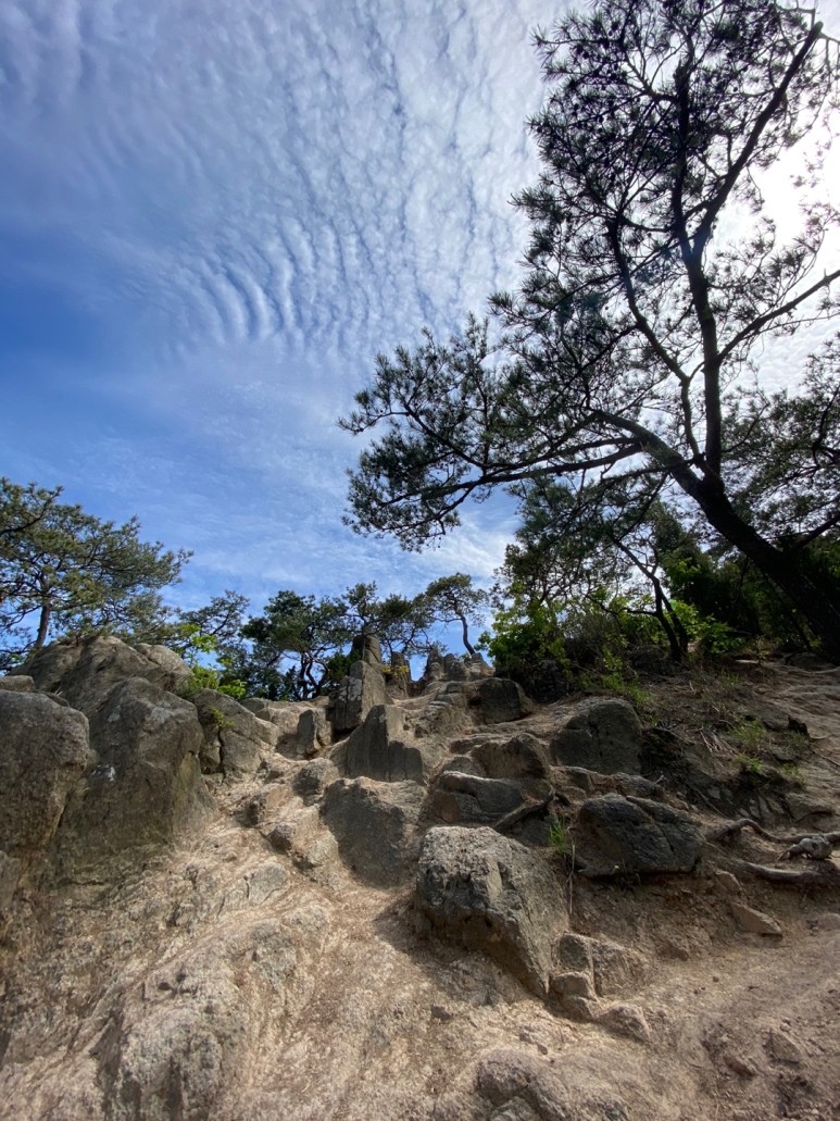 홍성 용봉산 등산코스 홍성 용봉산 14