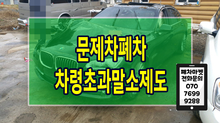  문제차폐차 차령초과말소제도