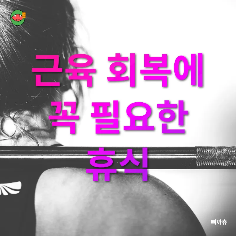 헬스 입문자를 위한 근력 운동 팁_3