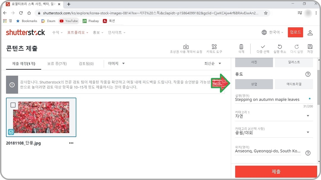 사진-용도-선택