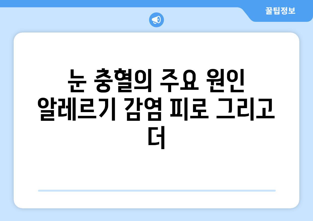 눈 충혈의 주요 원인 알레르기 감염 피로 그리고 더