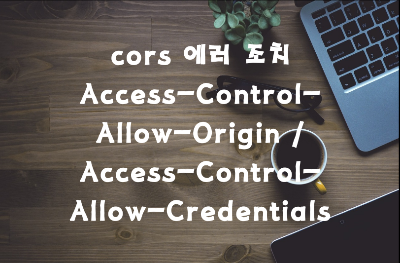 cors 에러 조치 / AccessControlAllowOrigin / accesscontrolallowcredentials