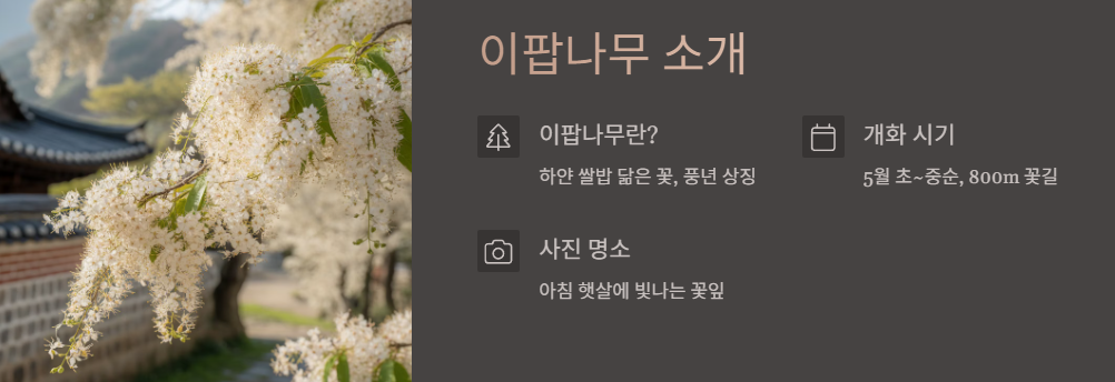 이팝나무 소개
