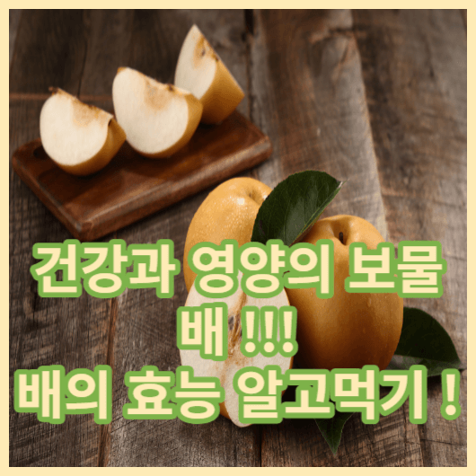  배로 시작하는 건강한 식습관의 첫걸음 ! 배의 효능 및 배 제철 알고 먹어야 더 맛있습니다 !