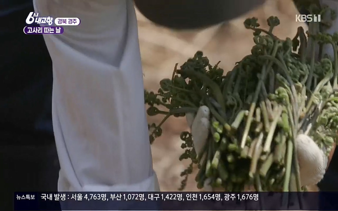 6시 내고향.E7518.220426p.H264-F1RST.mp4_20220504_190729.351.jpg
