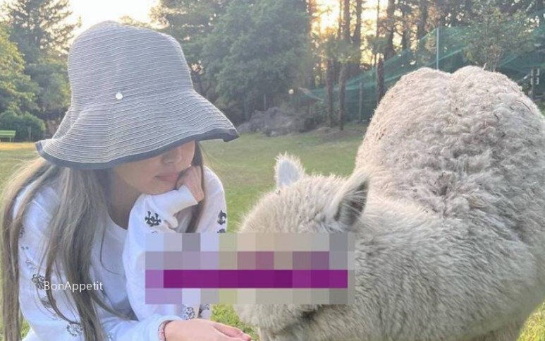  제니 뷔 이마 키스 절 데이트 사진 계속된 열애설 프라이빗 파티 데이트까지! 이제 대놓고? 