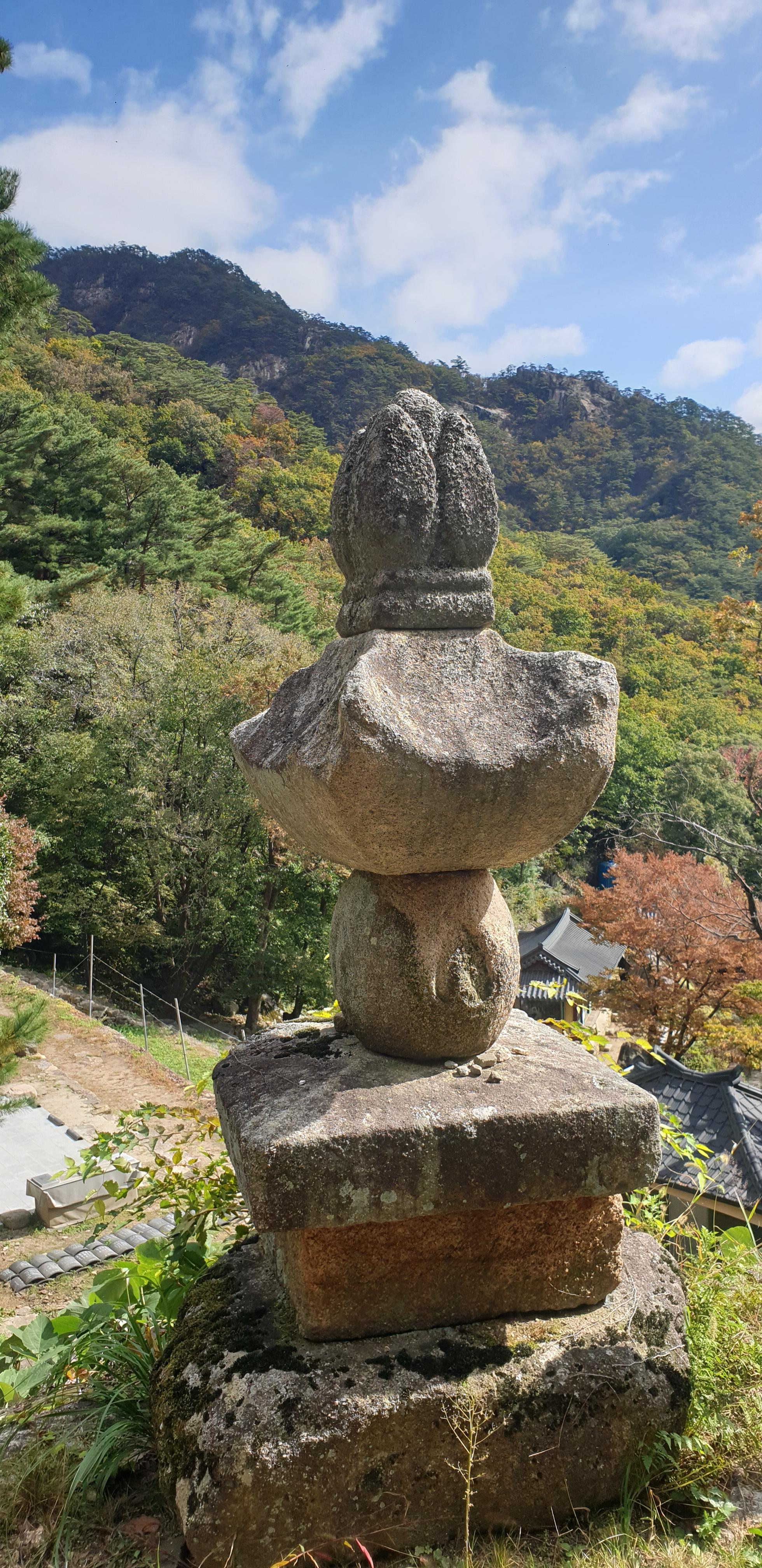 img.jpg